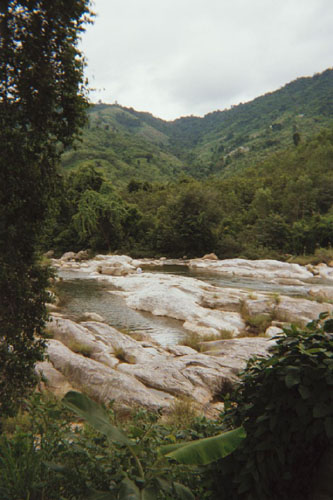swim.stream
