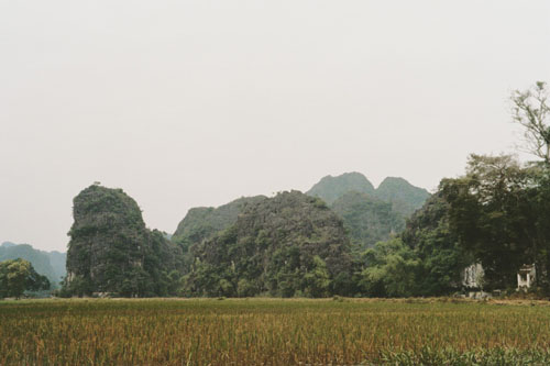 tamcoc.scenery