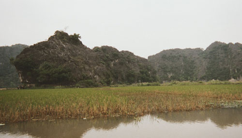 tamcoc.view5