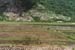 bike.rice.fields