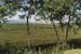 bike.ricefields