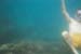 boat.snorkel.andrew