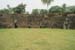 hue.elephant.arena2