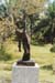mylai.agony.statue