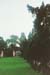 perf.pagoda