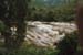 swim.stream2