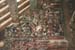 tamcoc.motif
