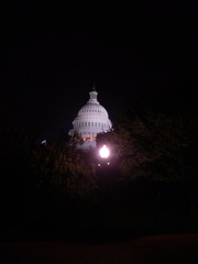cap8