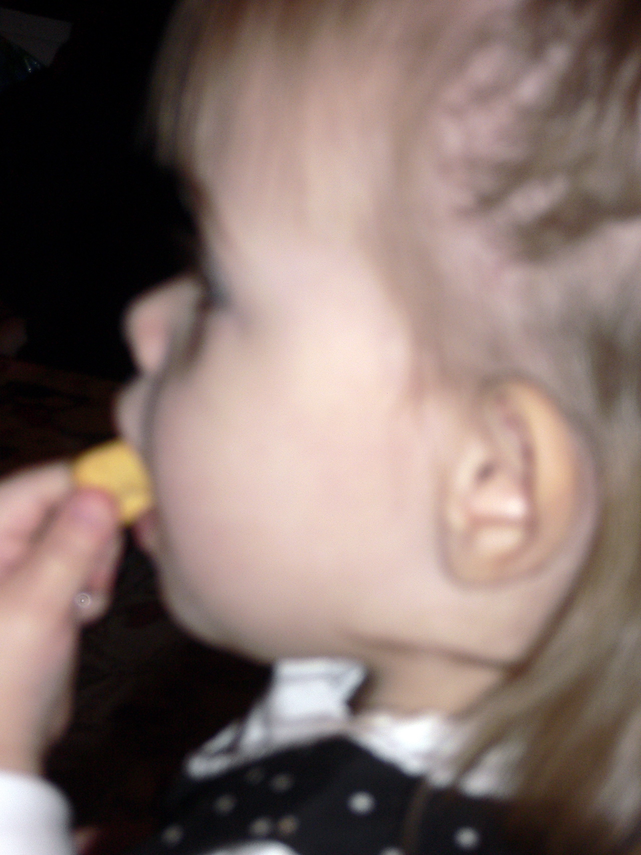 P1010937.JPG