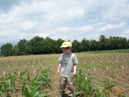 Checking out the baby corn