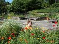 Will in the flowers