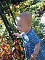 Cruising through the gardens